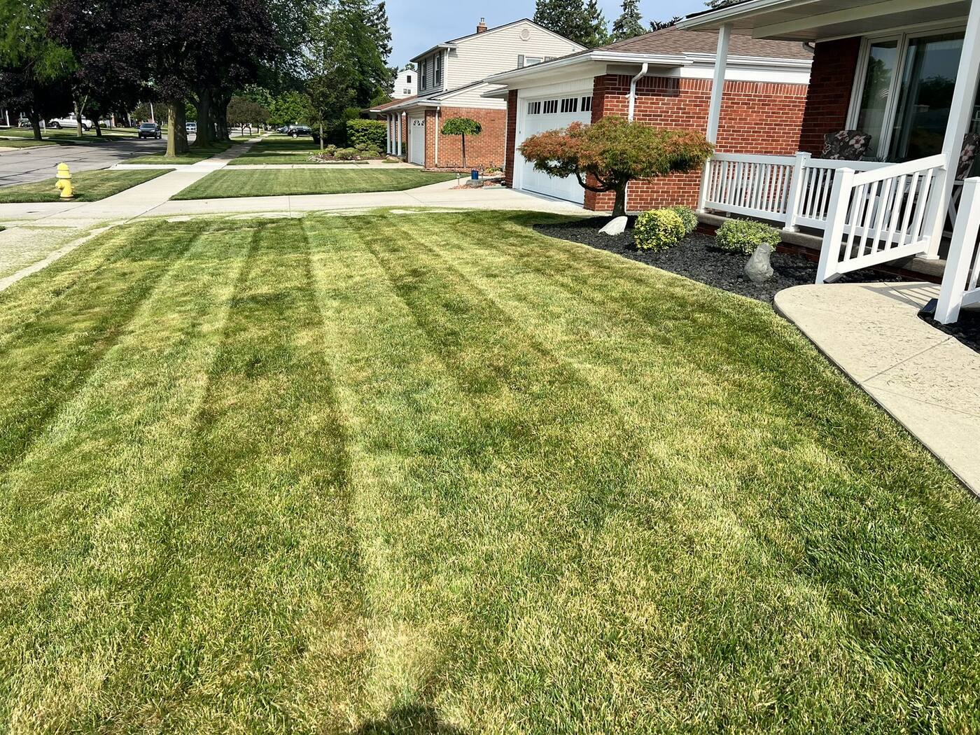 Lawn Care & Fertilization