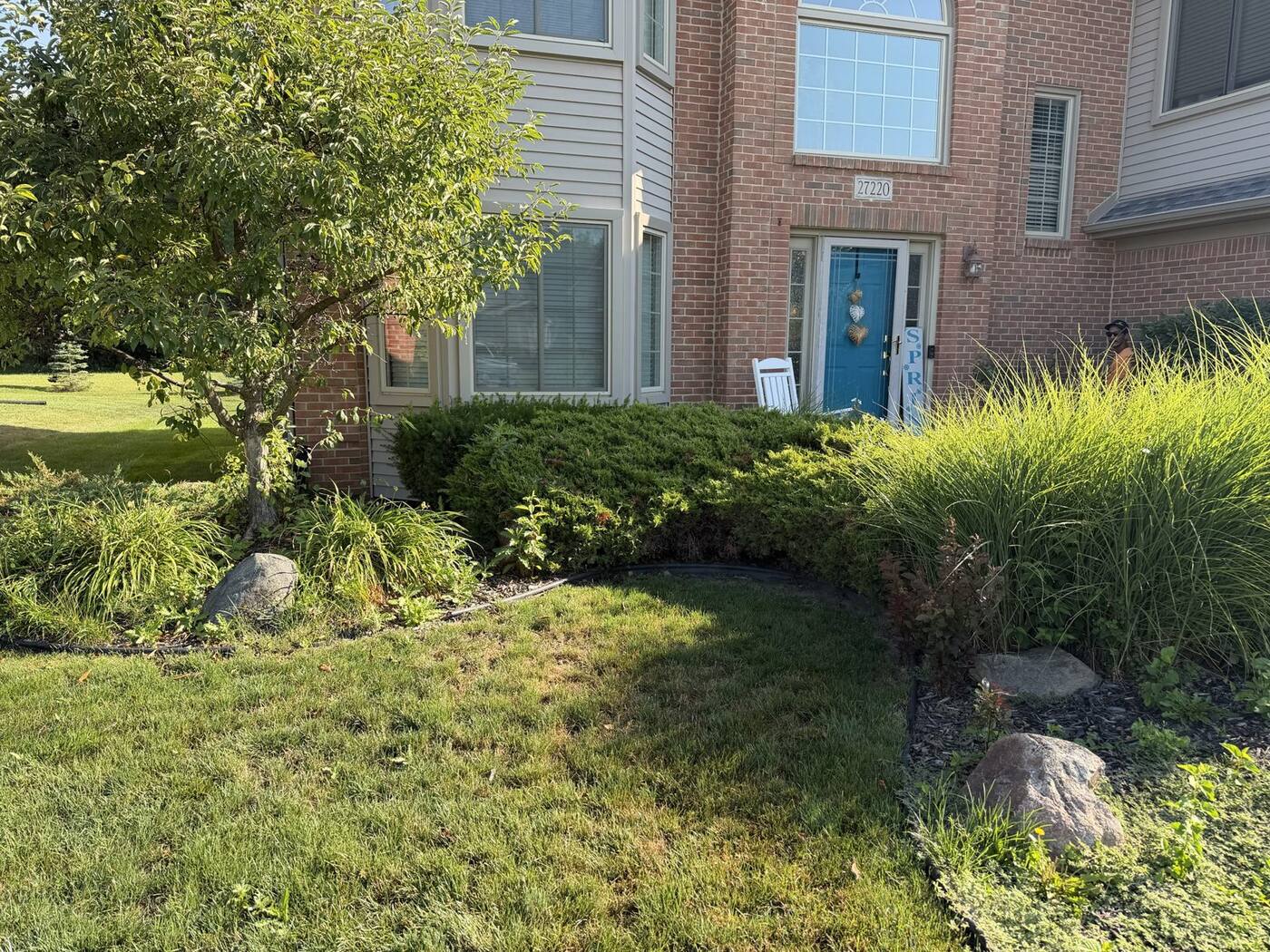 Before: overgrown junipers and grasses in front of the house